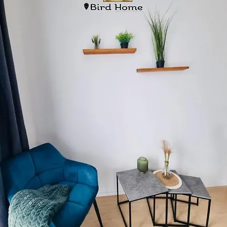 Apartment Bird 10 *